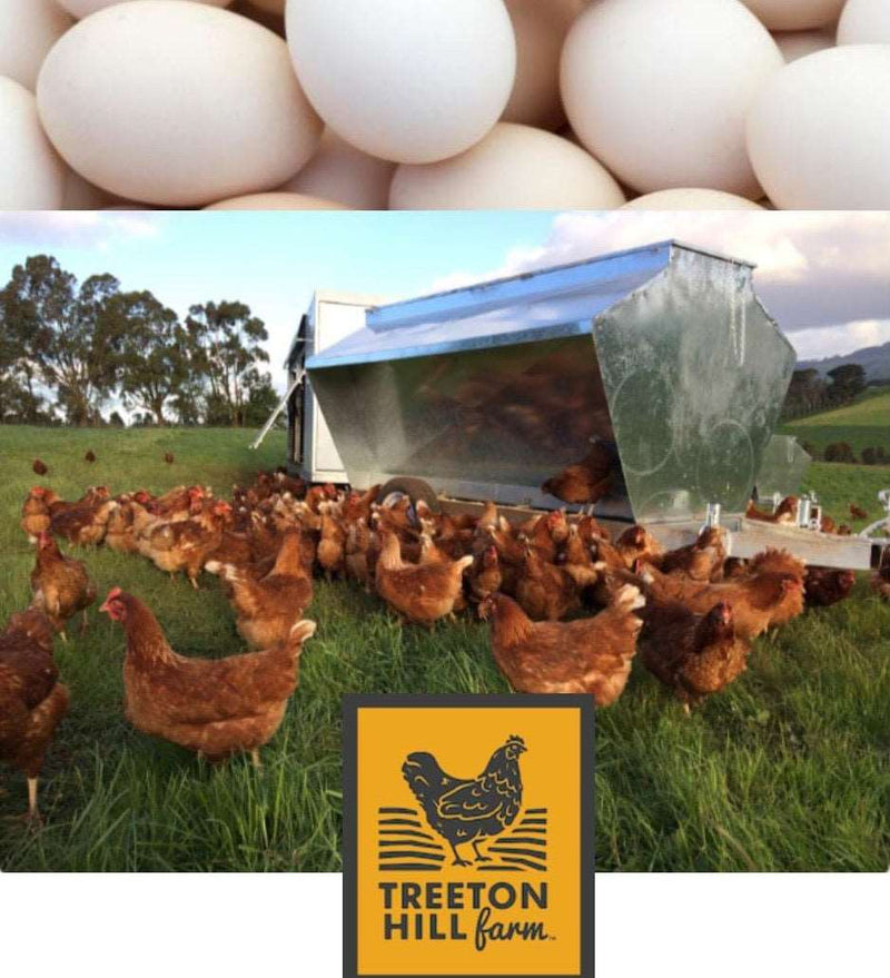 Treeton Farms Pasture Raised Eggs (1doz) - The Naked Butcher Perth