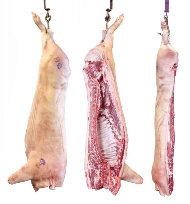 Full Carcass of Free Range Pork (approx weight 50-60kg) - The Naked Butcher Perth